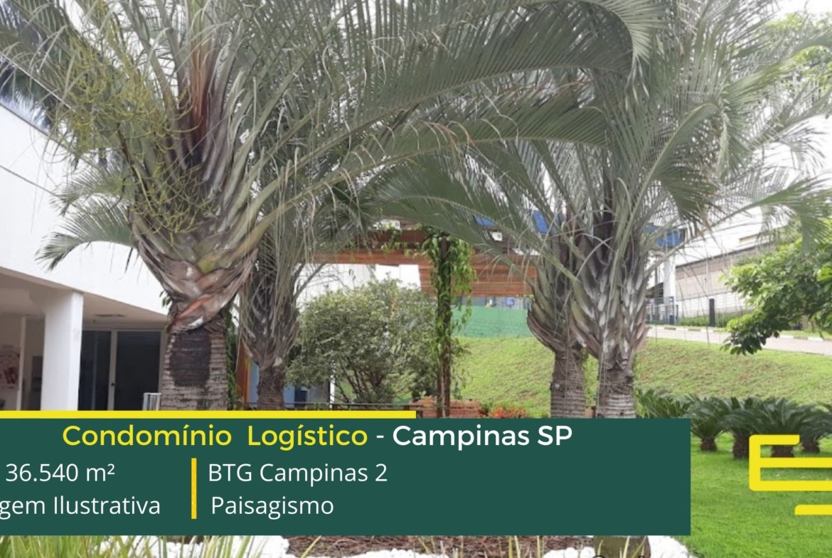 Galpão Para Alugar em Campinas - BTG Campinas 2. Galpões/armazéns/Condomínios logísticos e centros de distribuição para Alugar em Campinas SP