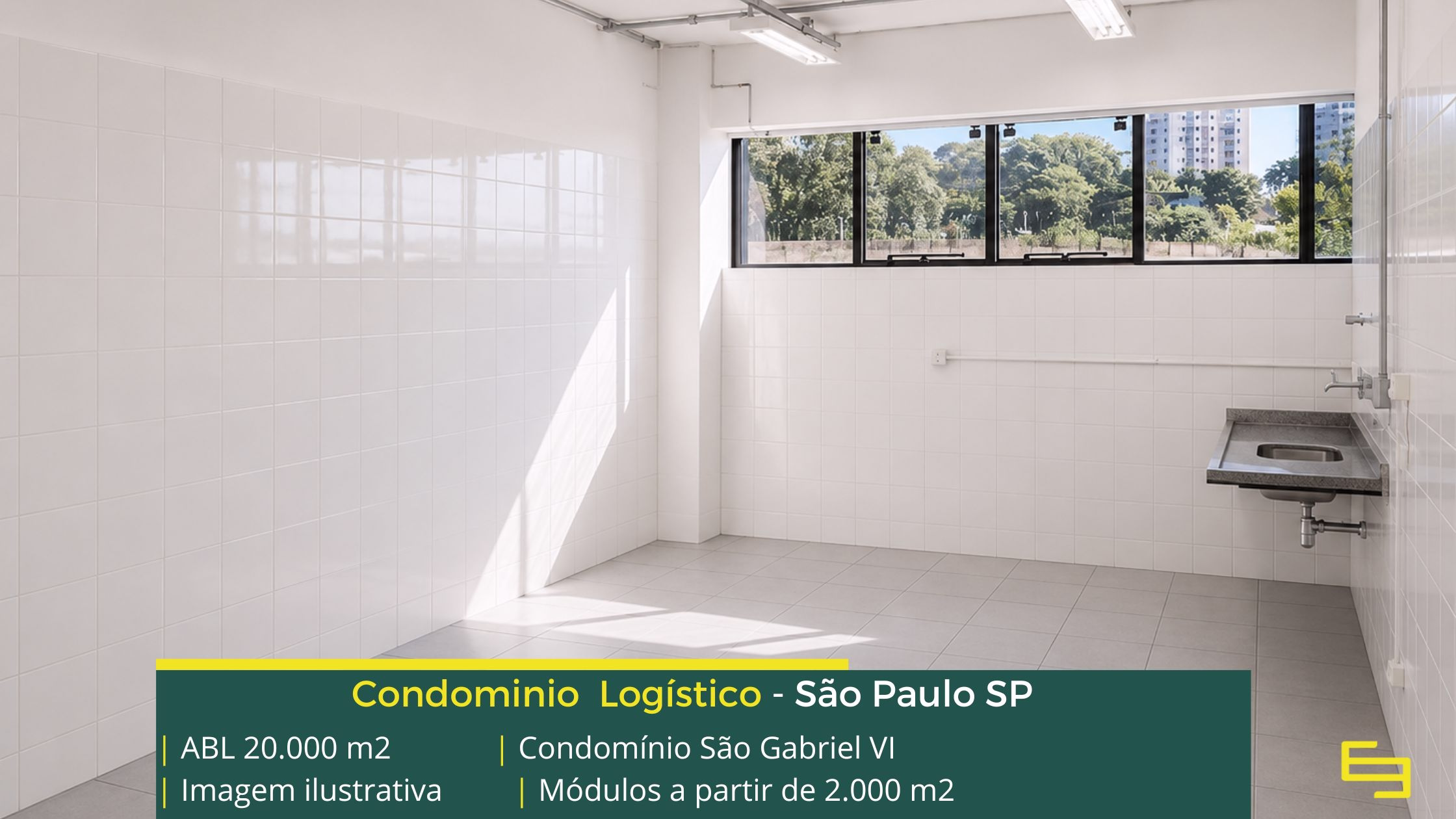 Aluguel galpão São Paulo SP (11)