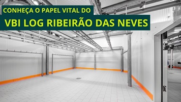 O Papel Vital do VBI Log Ribeirão das Neves